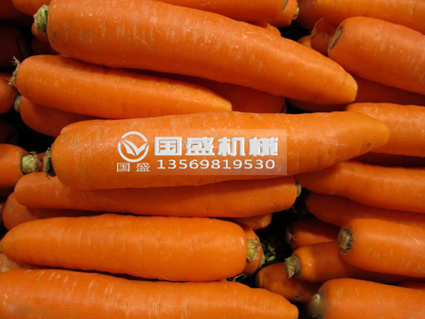 好色先生TV免费下载胡萝卜脱水挤压机 好色先生TV免费下载胡萝卜脱水挤压机